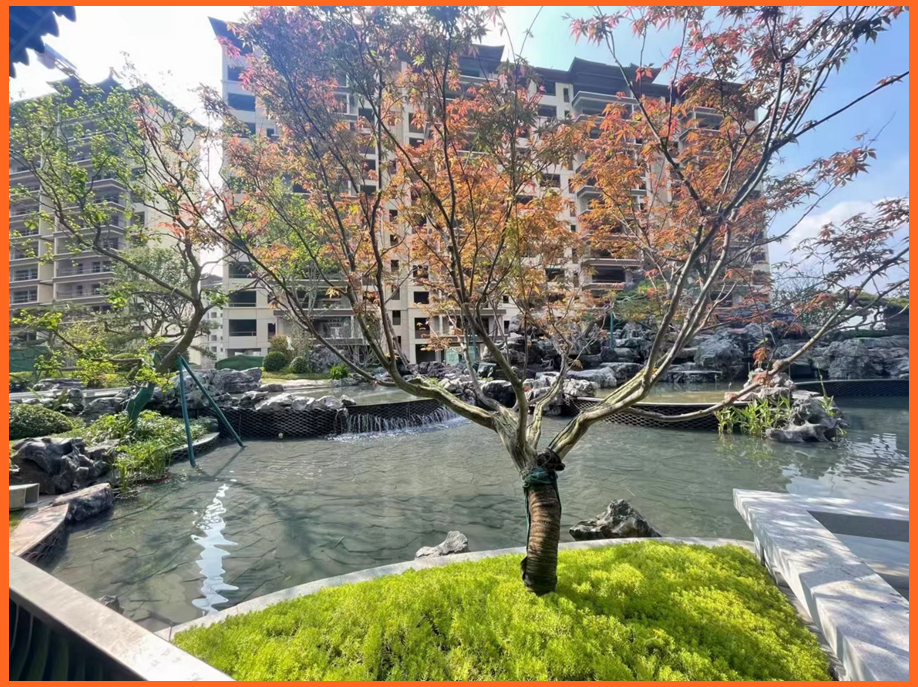 实景图